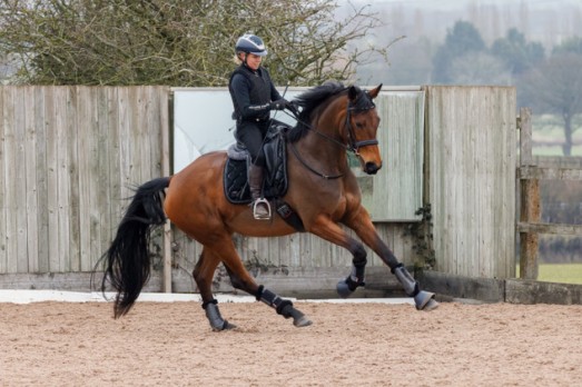 Hannah Esberger Livery and Tuition
