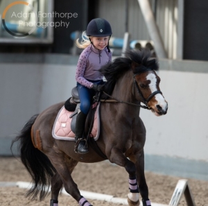 Bronllwyn Joshua (Joey the Legend)